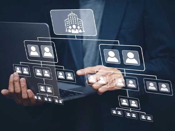Consultoría organizacional